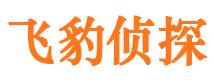 盐山市私家侦探